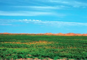 美麗中國先鋒榜 18 內(nèi)蒙古杭錦旗庫布其沙漠治理創(chuàng)新實(shí)踐