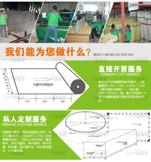 數(shù)據(jù)處理服務 解鎖數(shù)據(jù)潛能，驅動企業(yè)智能決策